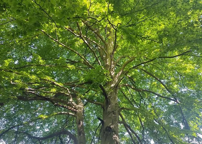 Casa Mattirolo - Castagneto Po